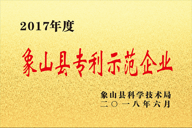 2017年度象山县zhuanli示范企业